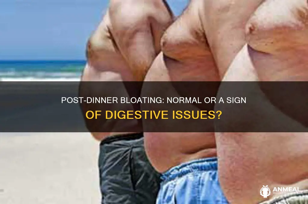 should your stomach bloat after dinner