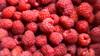 snack healthy