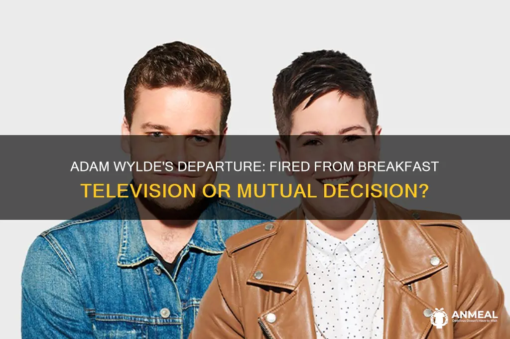 was adam wylde fired from breakfast television