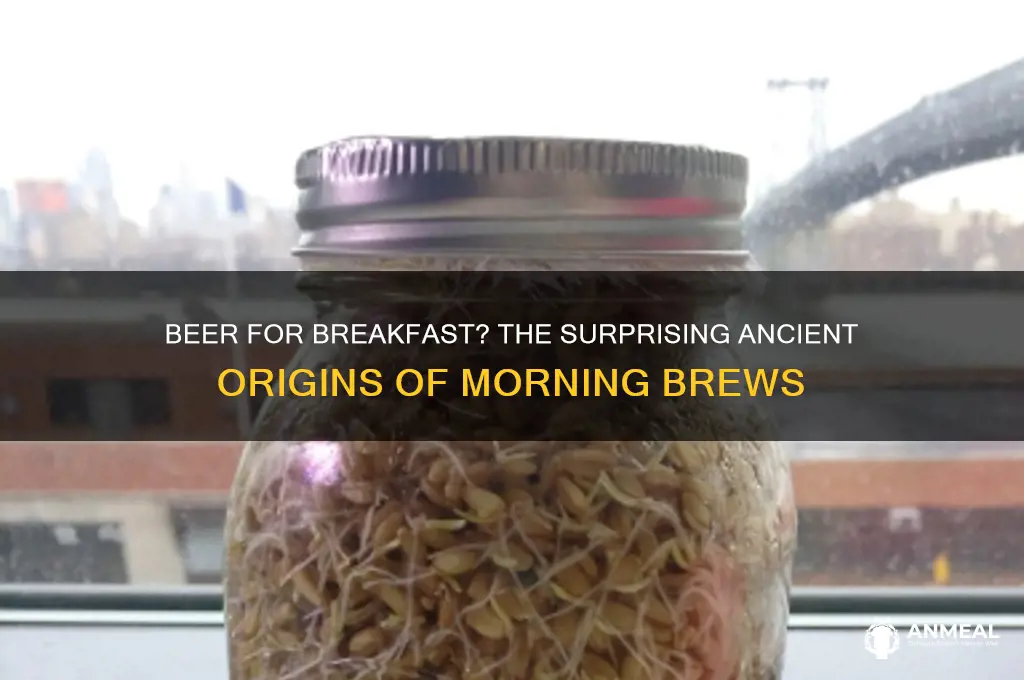 was beer originally a breakfast drink