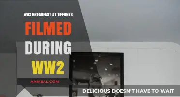 Breakfast at Tiffany's: WWII Era Filming Myth Debunked