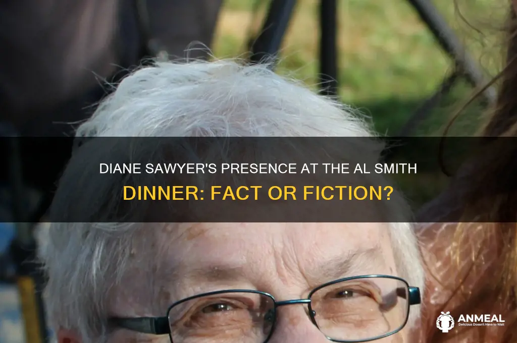 was diane sawyer at al smith dinner