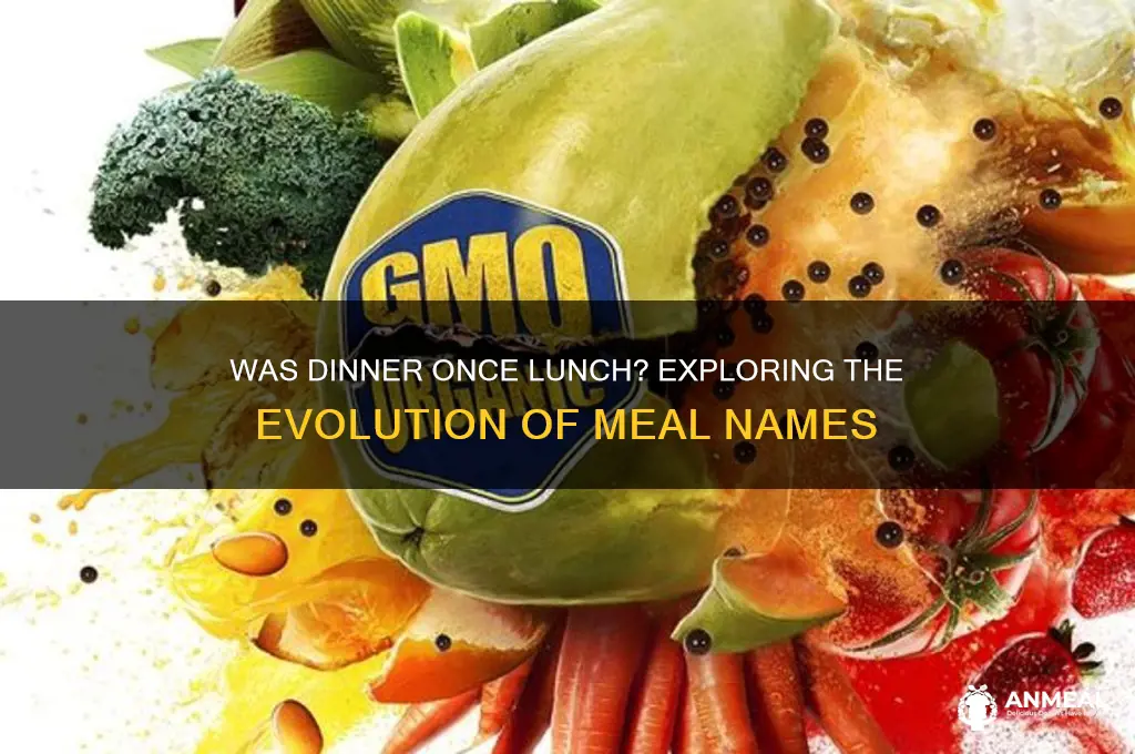 was dinner lunch