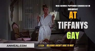Was George Peppard's Character in Breakfast at Tiffany's Gay?