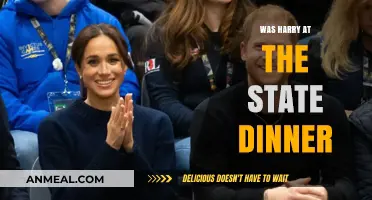 Harry's State Dinner Appearance: Fact-Checking the Royal's White House Visit