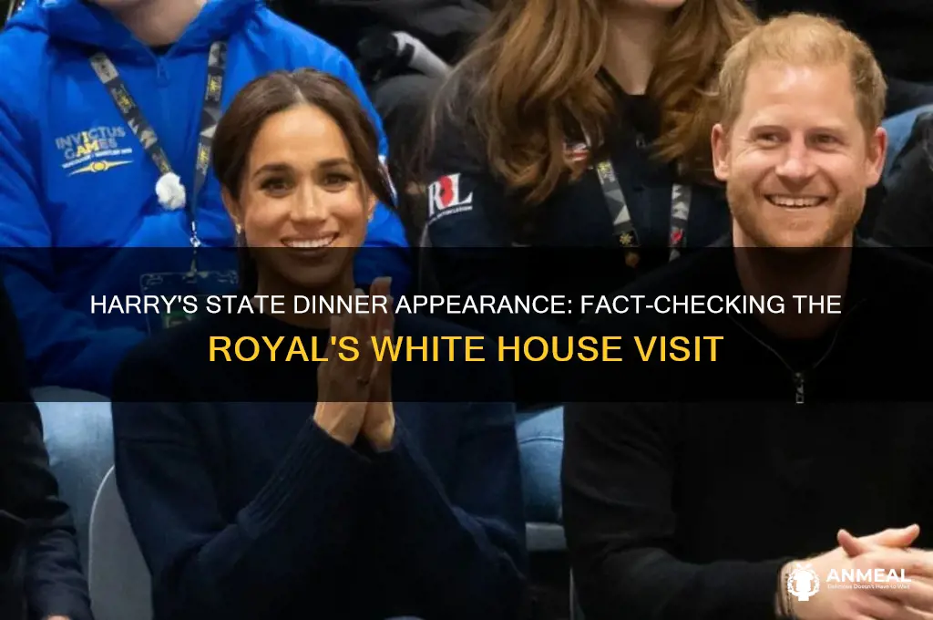 was harry at the state dinner