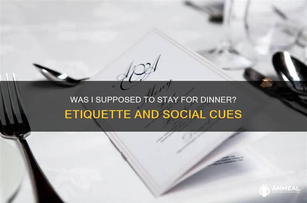 was i supposed to stay for dinner