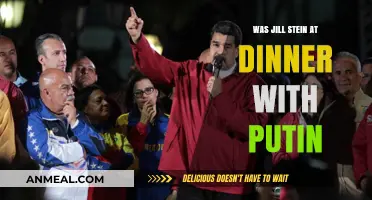 Jill Stein's Controversial Dinner: Was Putin Really at the Table?