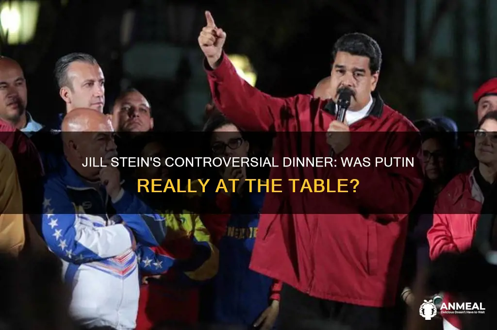 was jill stein at dinner with putin