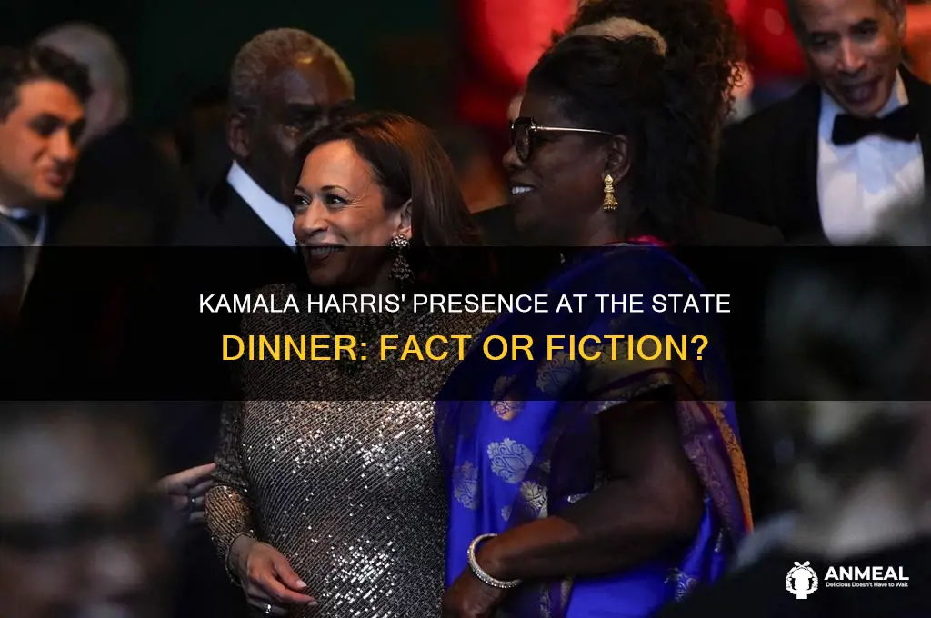 was kamala harris at the state dinner