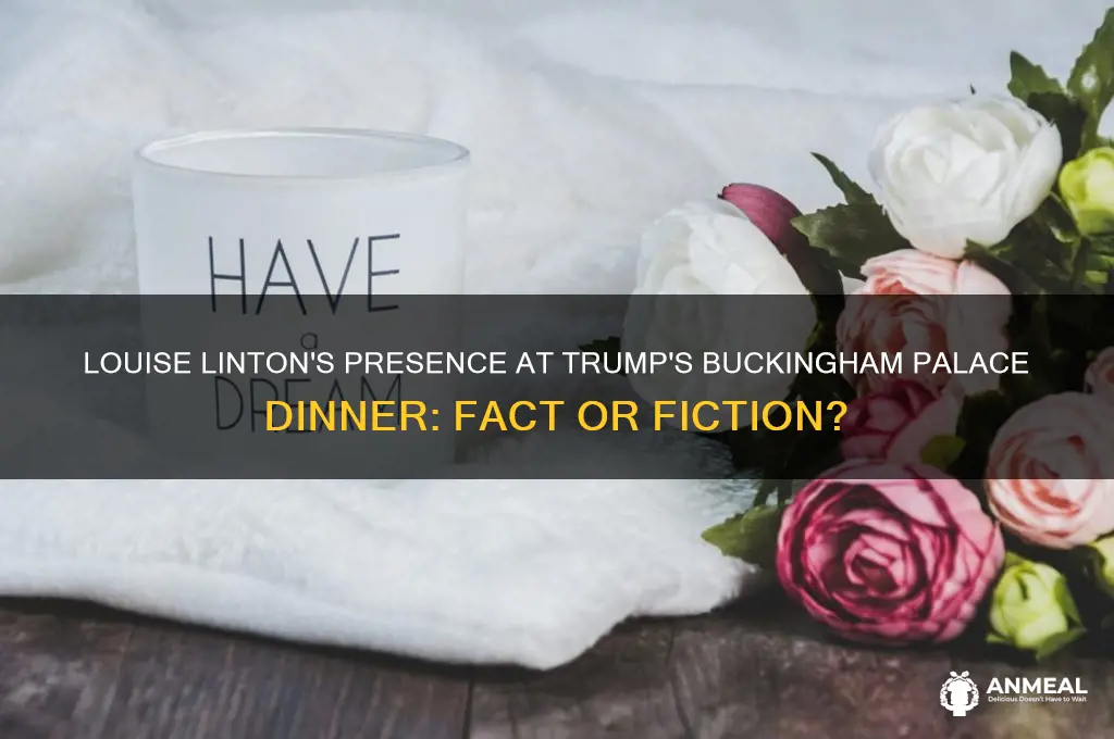 was louise linton at the trump buckingham palace dinner