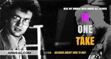 My Dinner with Andre: One Take or Cinematic Illusion?