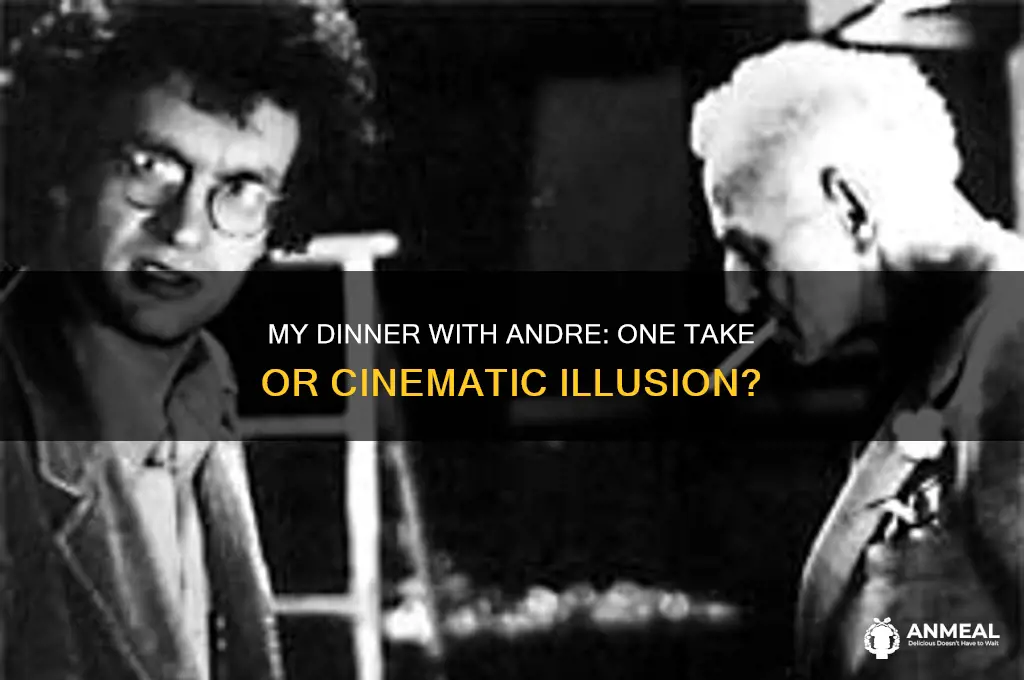 was my dinner with andre all filmed in one take