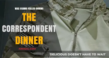 Osama's Death: Coincidence or Timing with Correspondents' Dinner?