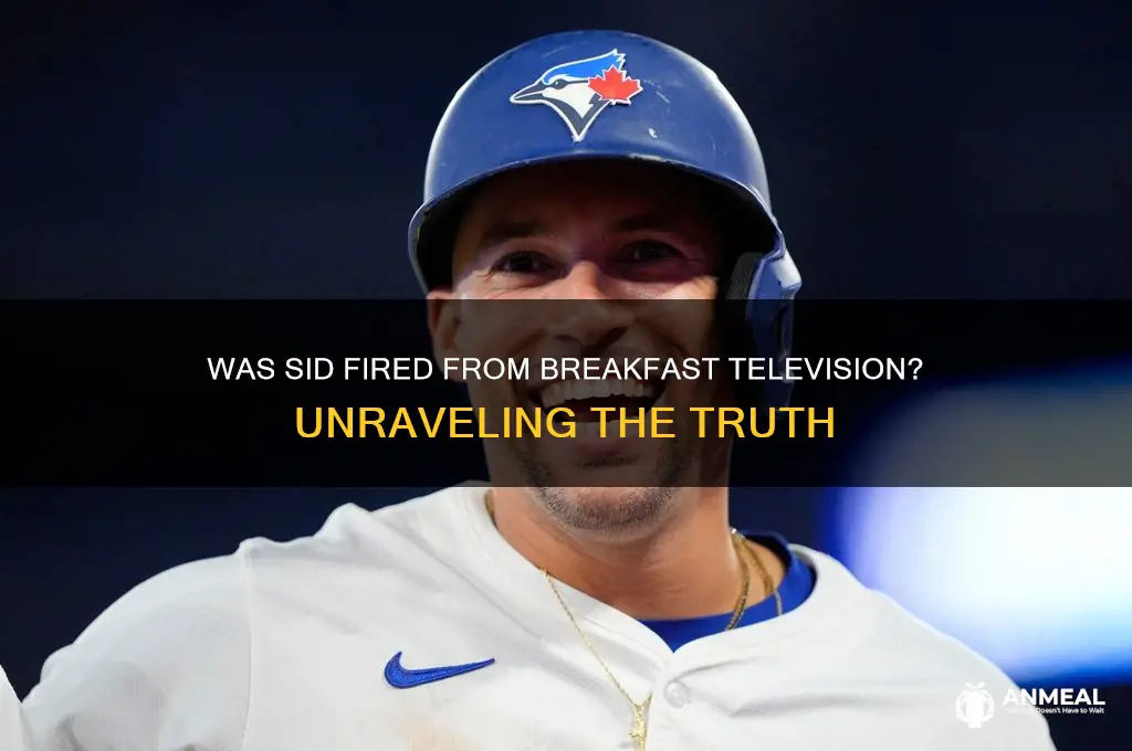 was sid fired from breakfast television