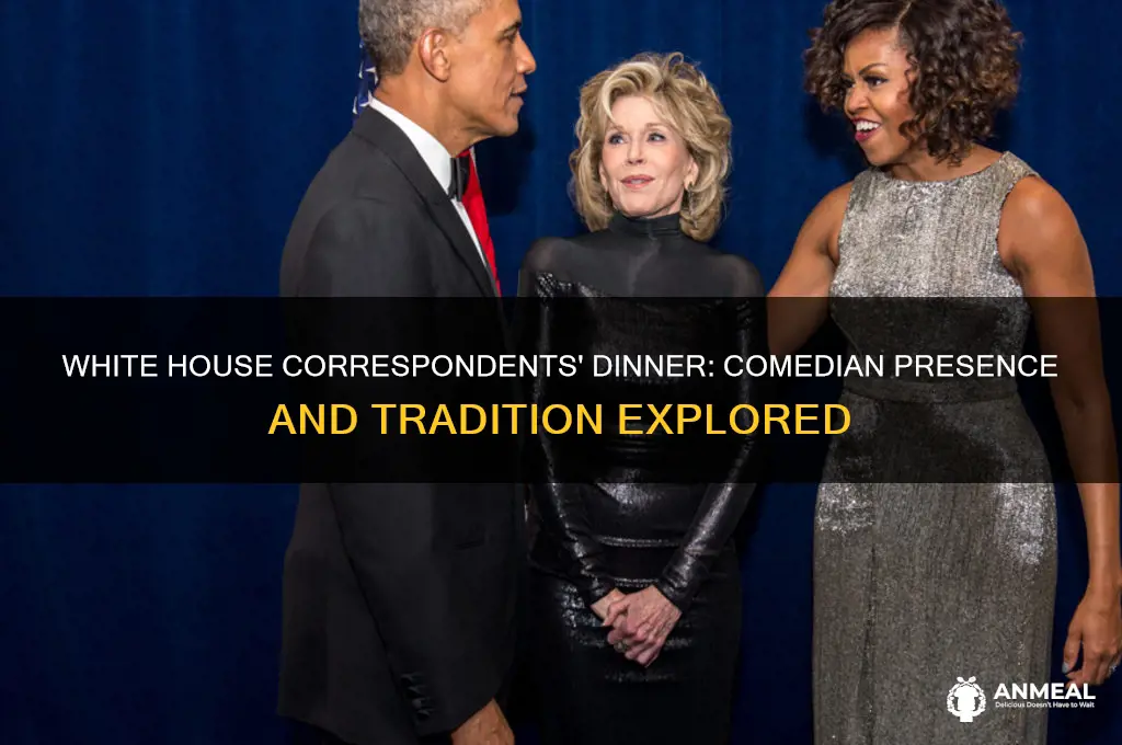 was there comedian at the whitehouse correspondants dinner