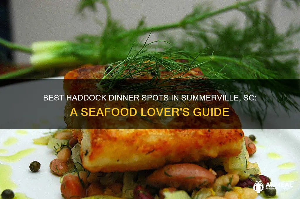 were to get haddock dinner in summerville sc