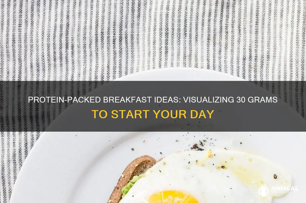 what 30 grams of protein looks like at breakfast
