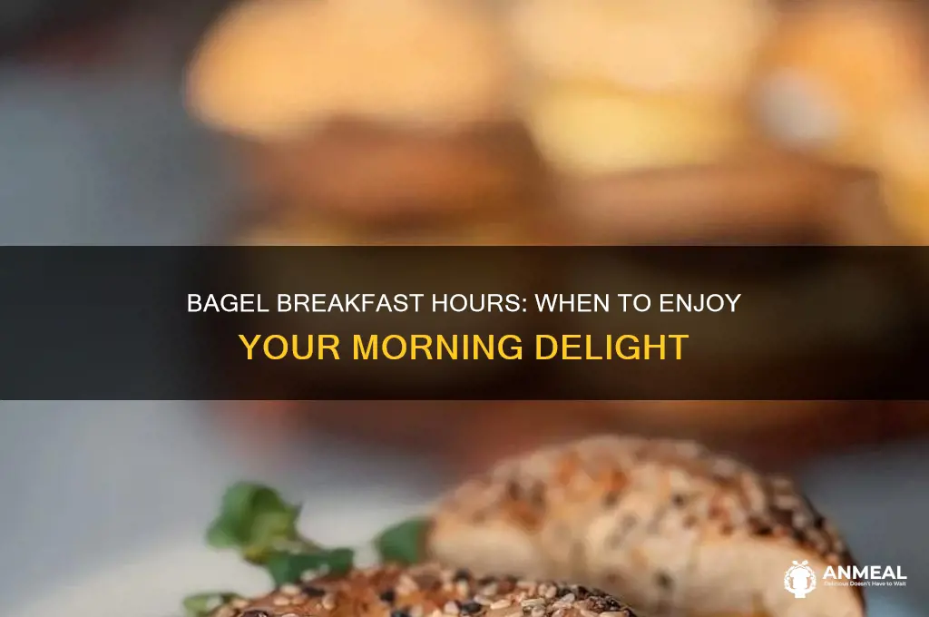 what a bagel breakfast hours