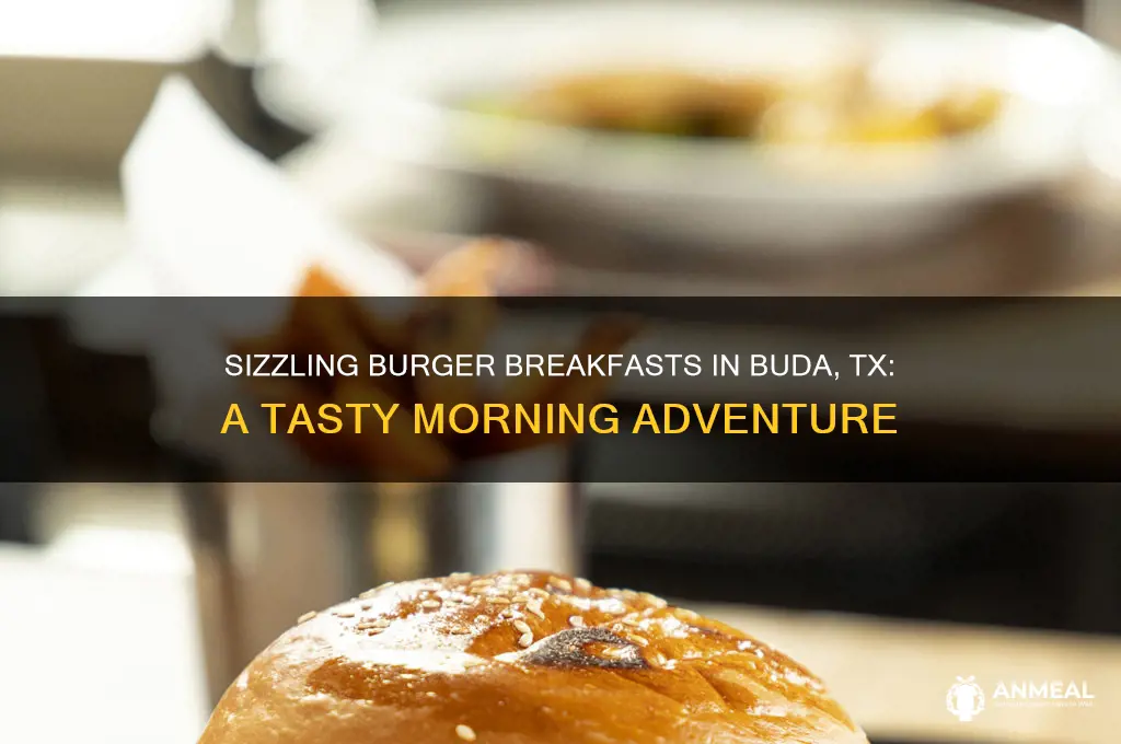 what a burger breakfast buda tx
