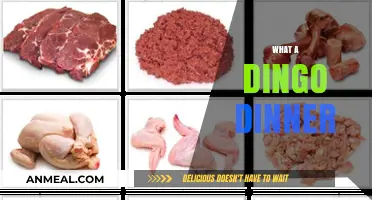 What's on a Dingo's Dinner Plate? Exploring Australia's Wild Canine Diet