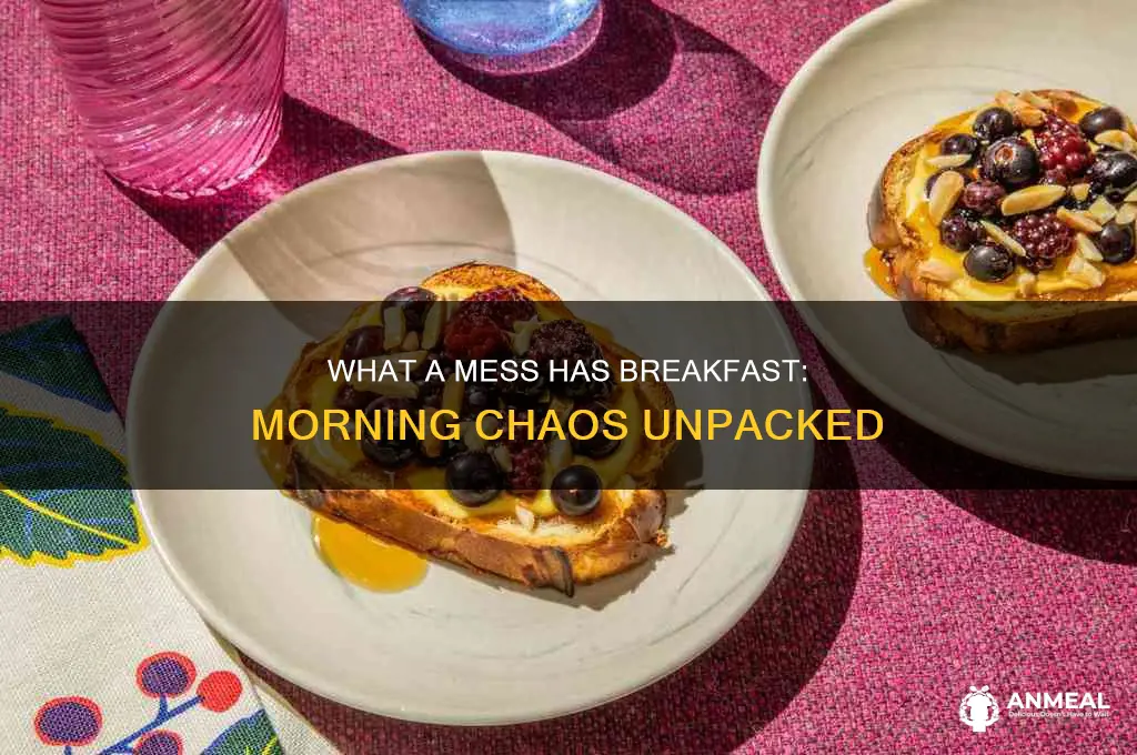 what a mess has breakfast