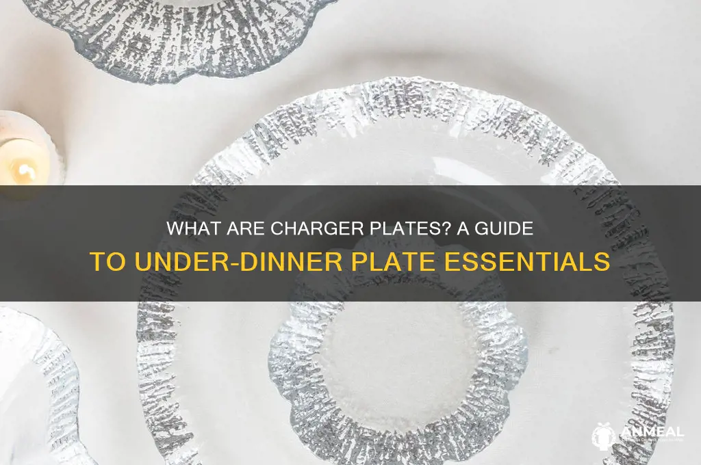 what a plates you put under dinner plates called