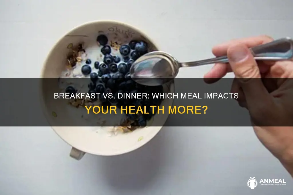 what about breakfast and dinner