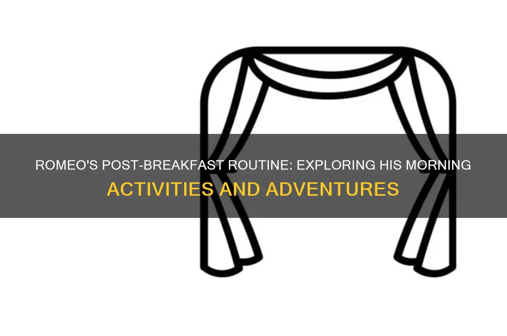 what activities does romeo do after breakfast