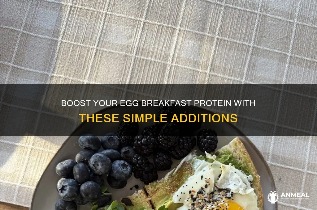 what adds protein to an egg breakfast