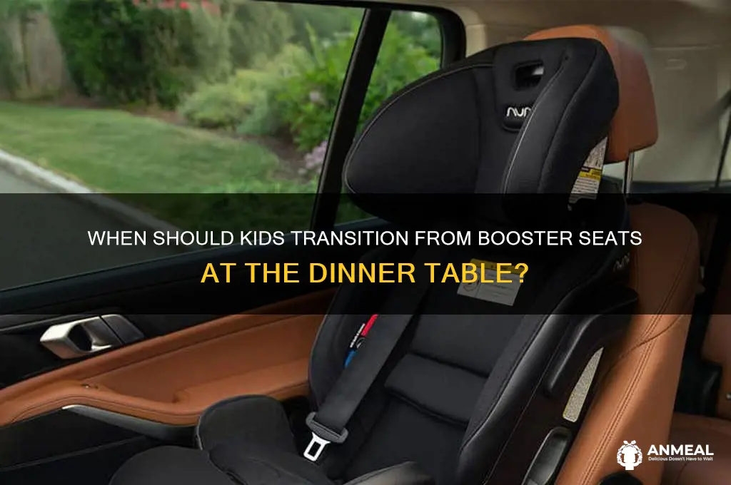 what age to stop using dinner booster seat