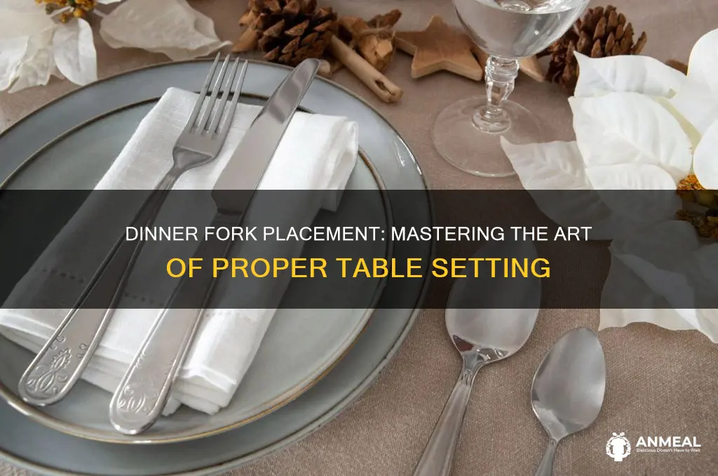 what aide is the dinner fork at a place setting