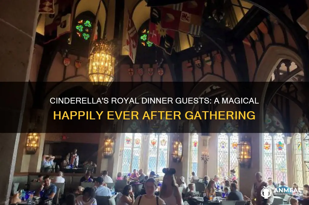 what all characters are at cinderella