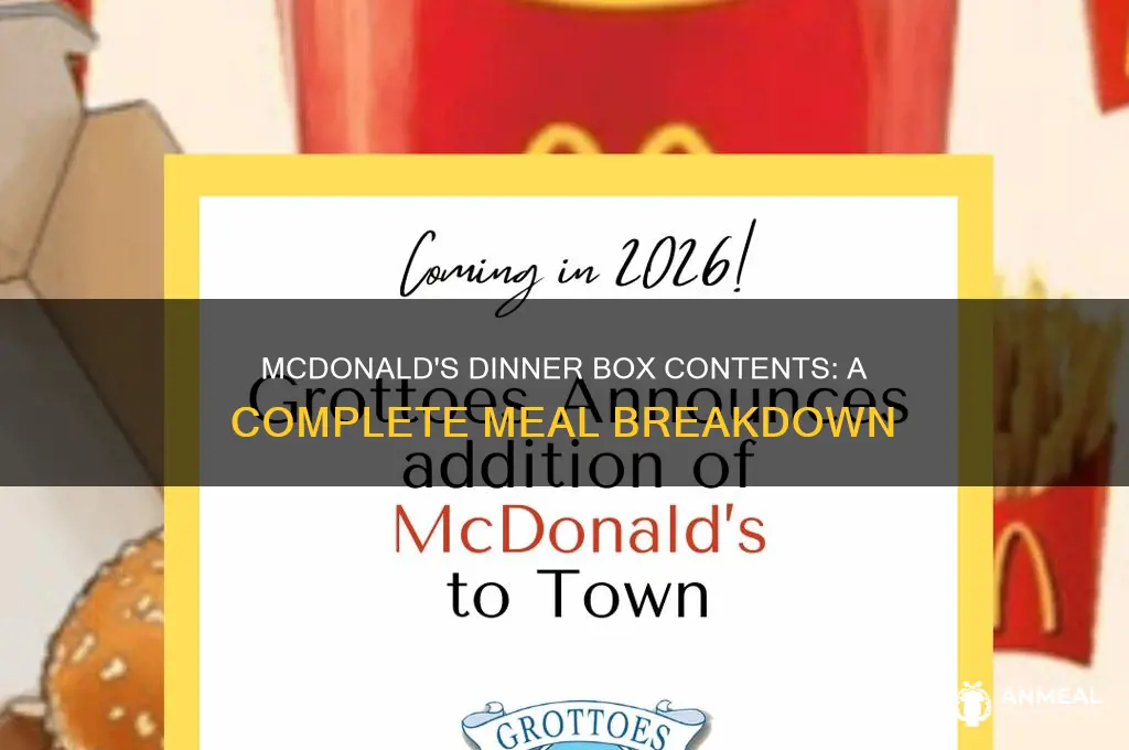 what all comes in a mcdonald