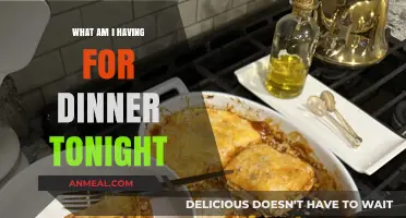 Delicious Dinner Ideas: Tonight's Menu Inspiration and Quick Recipes