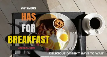 Exploring America's Breakfast: Diverse Morning Meals Across the USA