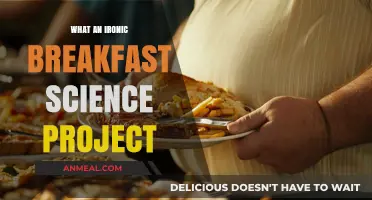 Irony on a Plate: Breakfast Science Project Surprises Unveiled