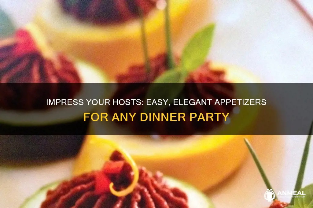 what appetizer to bring to a dinner party