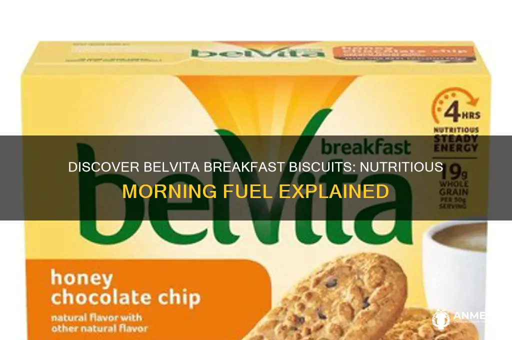 what are belvita breakfast biscuits