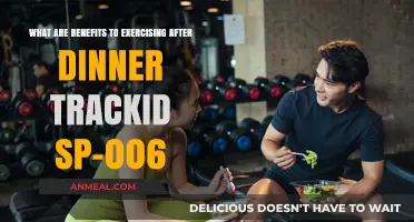 Post-Dinner Workouts: Surprising Benefits for Health and Digestion