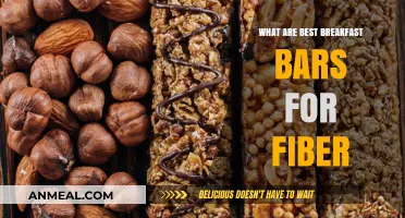 High-Fiber Breakfast Bars: Top Picks for a Healthy Morning Boost