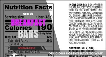 Discover Breakfast Bars: Quick, Nutritious Morning Fuel Explained