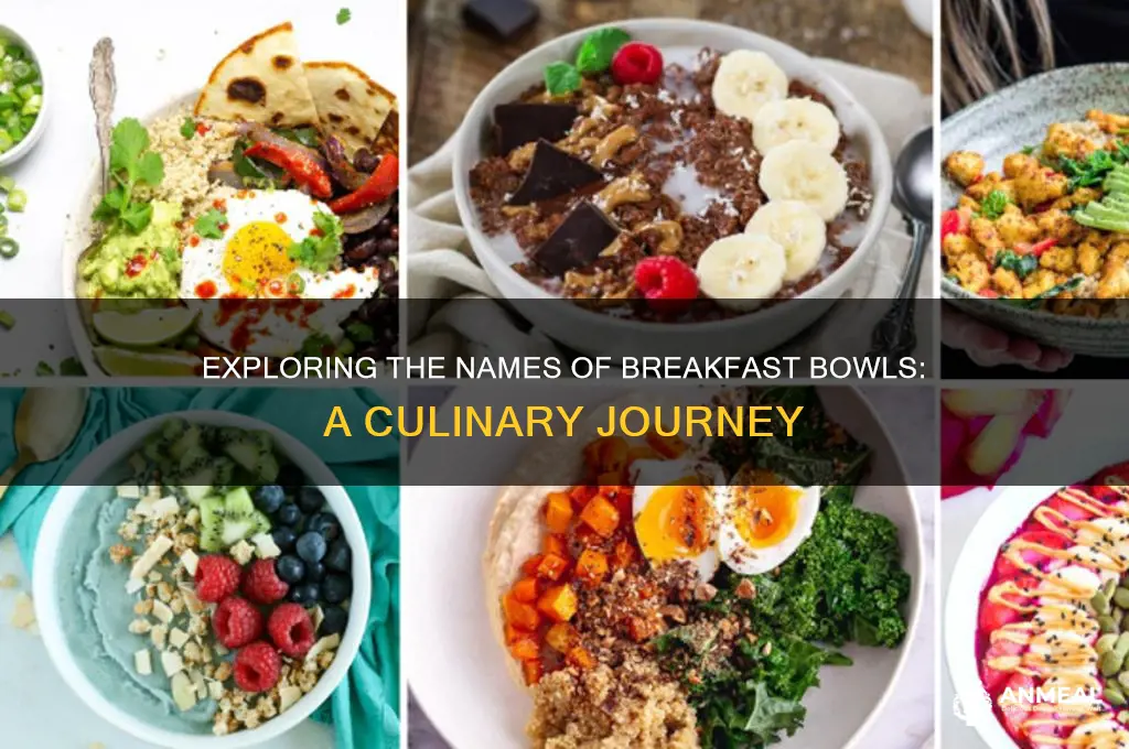 what are breakfast bowls called