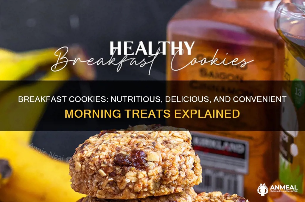 what are breakfast cookies