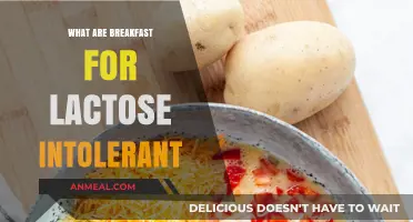 Delicious Dairy-Free Breakfast Ideas for Lactose Intolerant Foodies