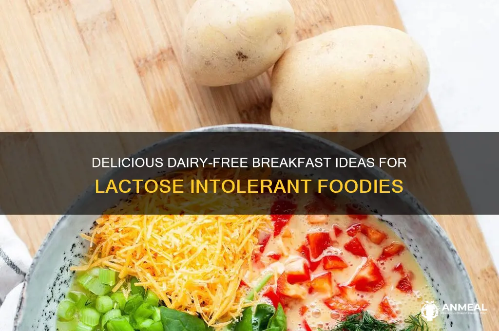 what are breakfast for lactose intolerant