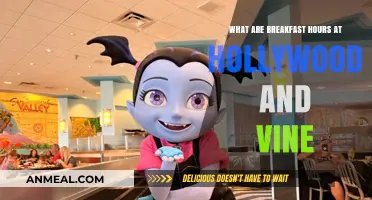 Hollywood & Vine Breakfast Hours: When to Enjoy Disney Dining