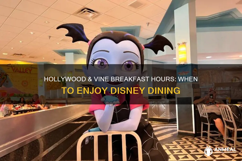 what are breakfast hours at hollywood and vine