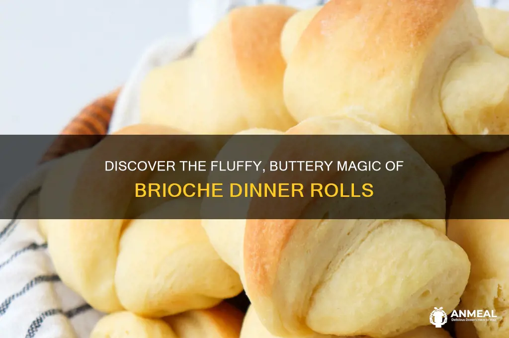 what are brioche dinner rolls