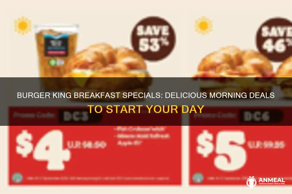 what are burger king